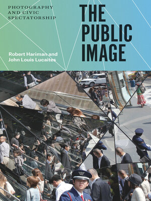 cover image of The Public Image